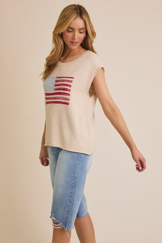 USA flag sweater