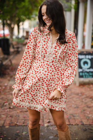 Floral printed lace trim dress
