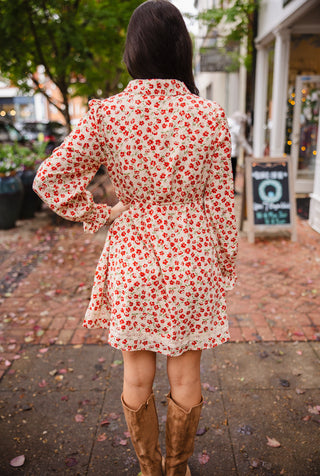 Floral printed lace trim dress