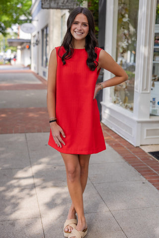 Sleeveless bow back dress