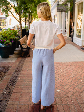 Navy pin stripe drawstring pants